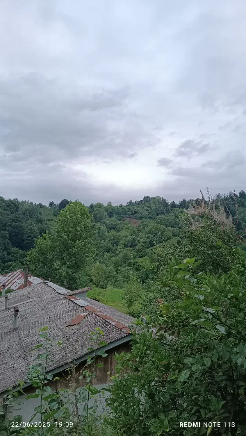 «ویلا اجارهای جنگلی نوساز،ویوی عالی»|اجارهٔ کوتاهمدت ویلا و باغ|لنگرود, |دیوار