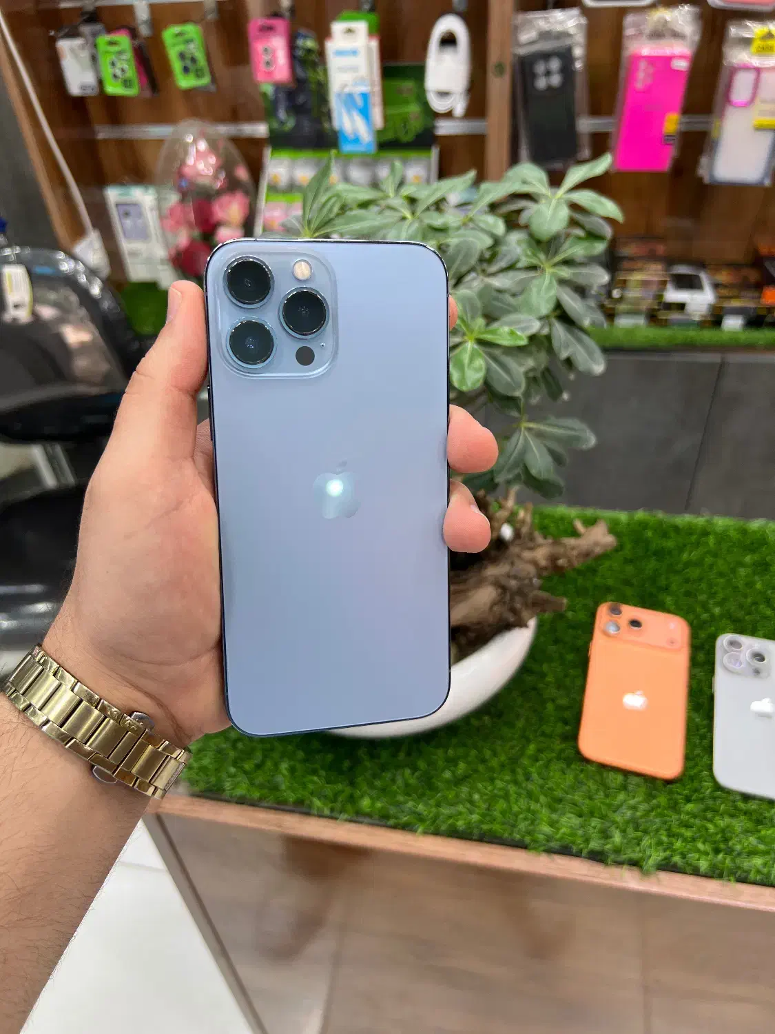 13promax.256.zaa|موبایل|سبزوار, ابوریحان|دیوار