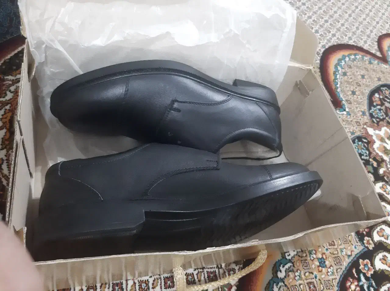 کفش|کیف، کفش، کمربند|اردبیل, |دیوار