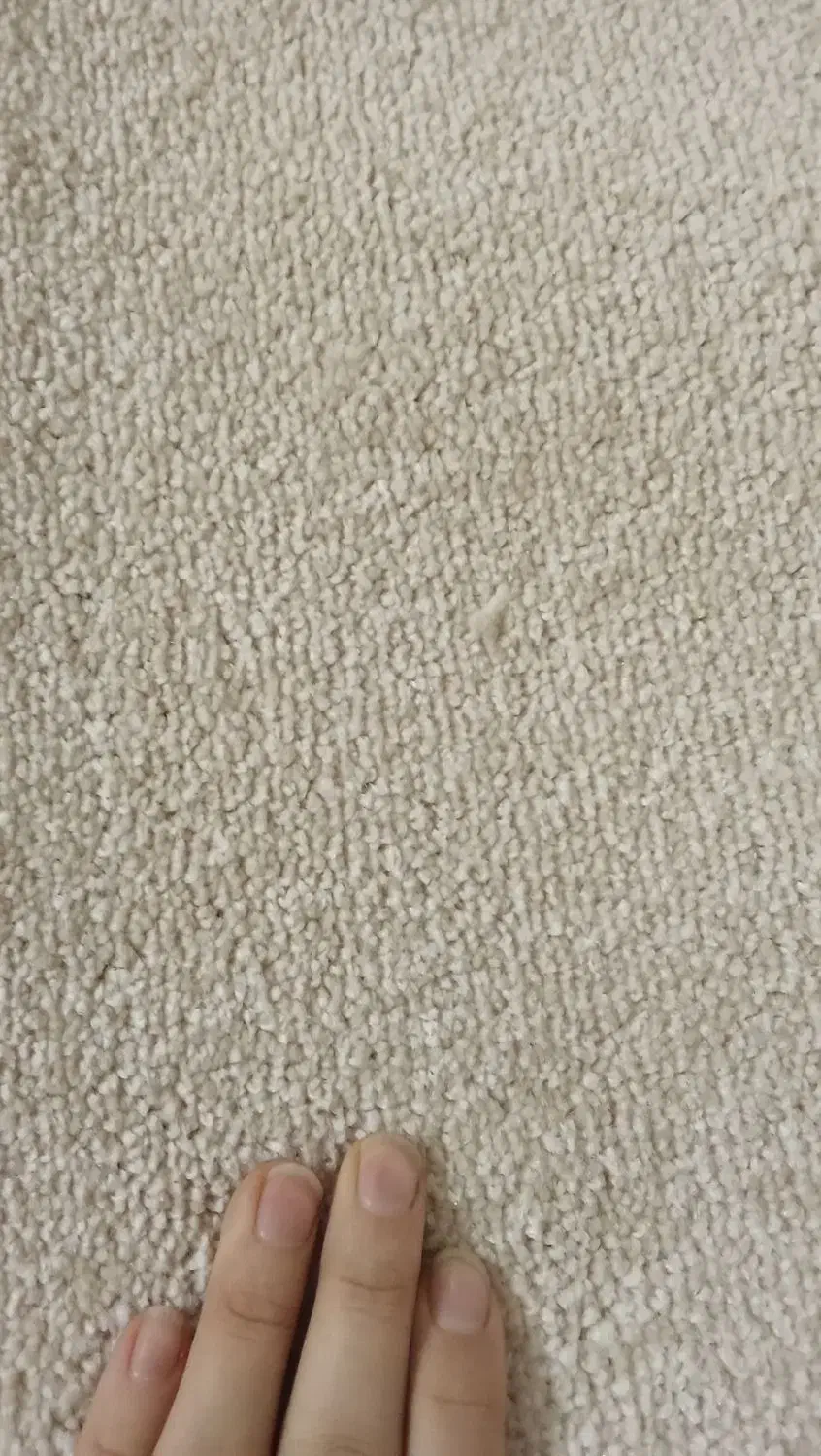 پالاز موکت|موکت|همدان, |دیوار