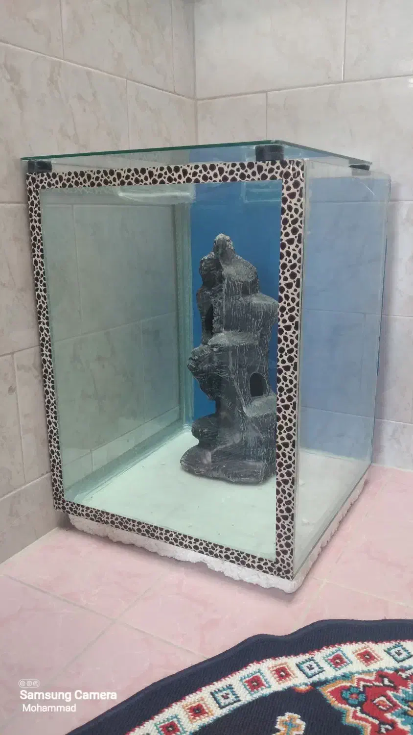 آکواریوم با وسایل|ماهی|بروجرد, |دیوار