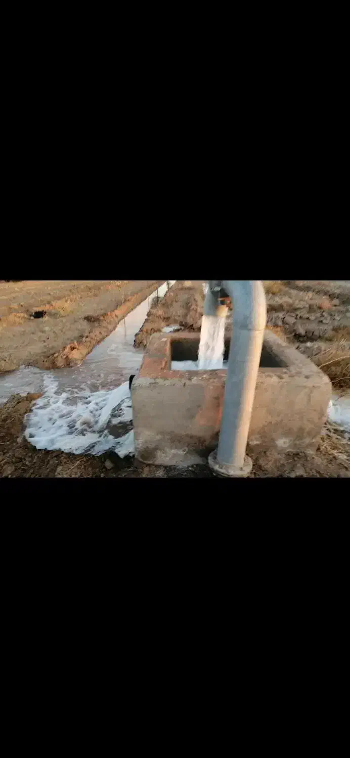 زمین کشاورزی تقاب|فروش زمین و ملک کلنگی|خوسف, |دیوار