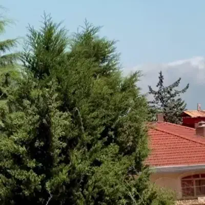 سرکارگر|خدمات پیشه و مهارت|سنندج, |دیوار