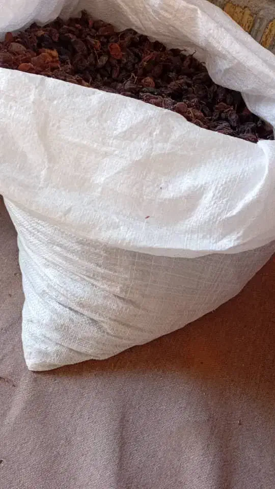 مویز ریشع بابا|عمدهفروشی|کوار, |دیوار