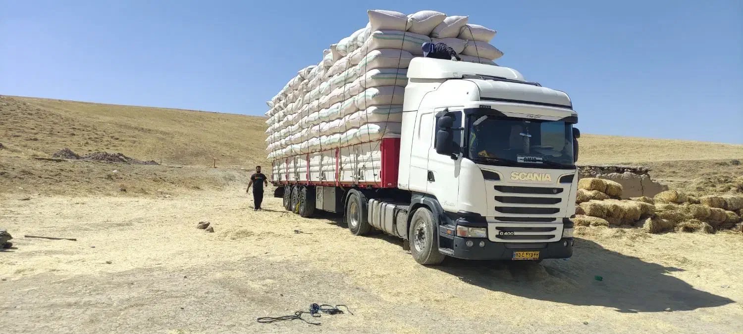 کاه گندم و لوبیا|لوازم جانبی حیوانات|دهگلان, |دیوار