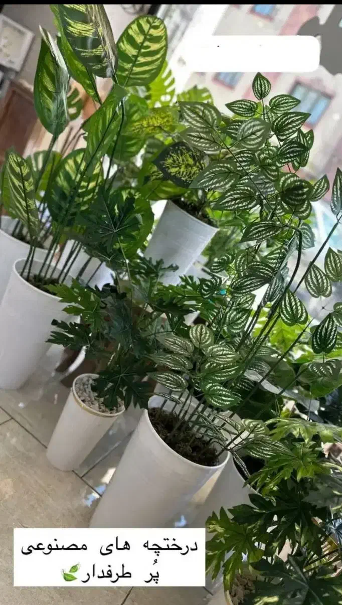 شلف گلدان گیاه درختچه مصنوعی دکوری ریسه آویز شمشاد|صنایع دستی و سایر لوازم تزئینی|تبریز, |دیوار