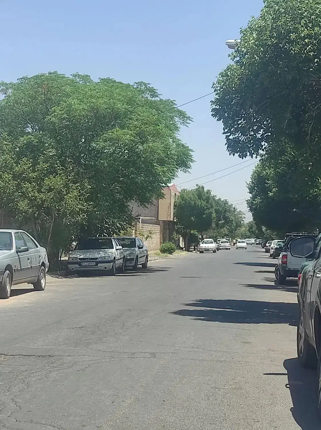 زمین12قصب درب حیاط تجاری مسکونی|فروش زمین و ملک کلنگی|رفسنجان, |دیوار