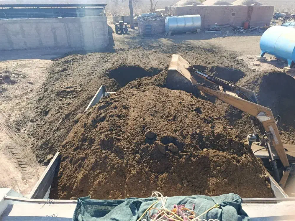 کودگوسفند|خدمات باغبانی و درختکاری|کرمان, |دیوار