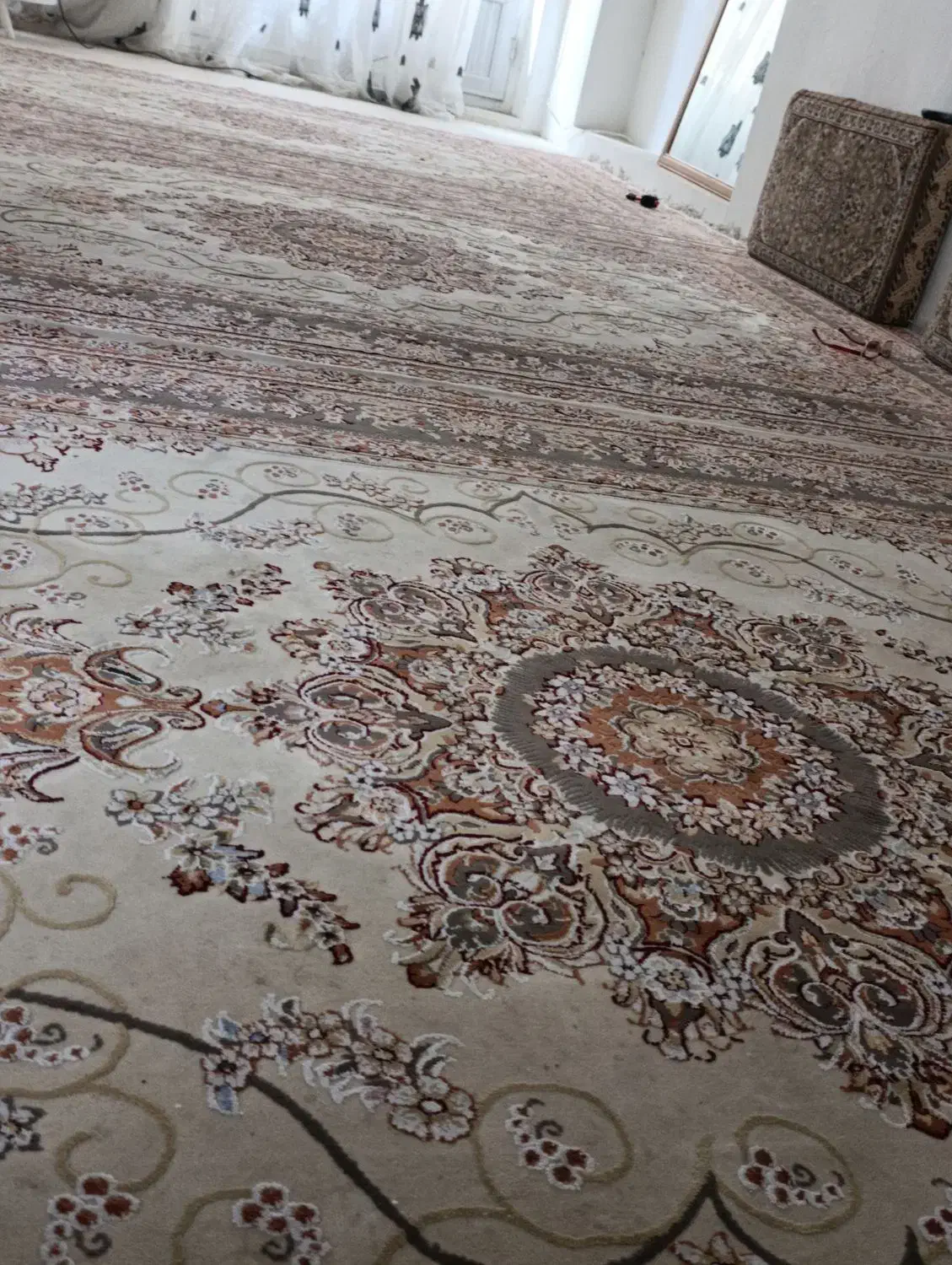 فرش شیش متری|فرش|کرمانشاه, |دیوار