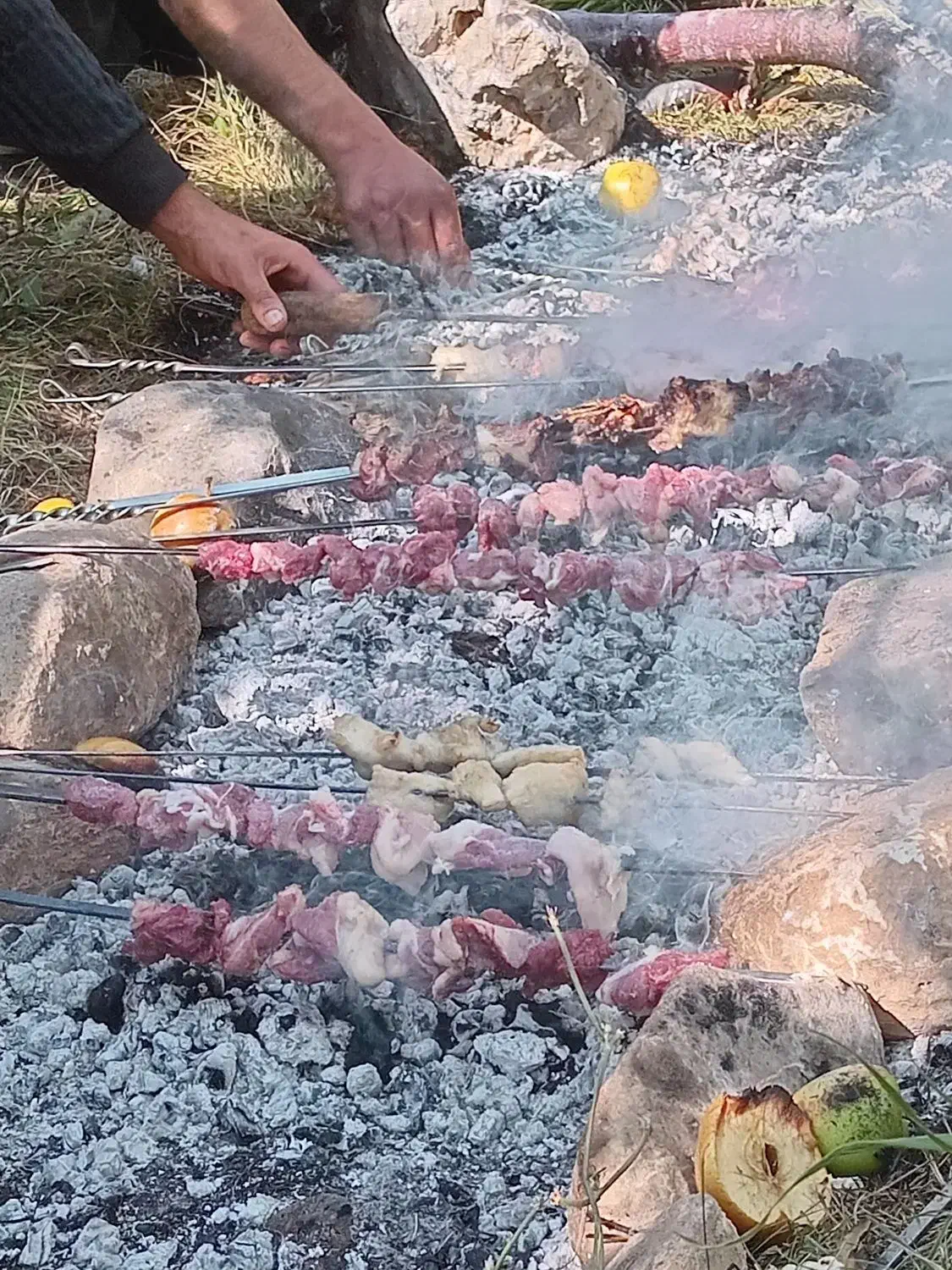 zoghal Balut|عمده‌فروشی|مسجد سلیمان, |دیوار