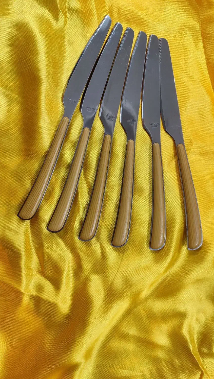 چاقو تمام استیل|ظروف سرو و پذیرایی|قم, کلهری|دیوار