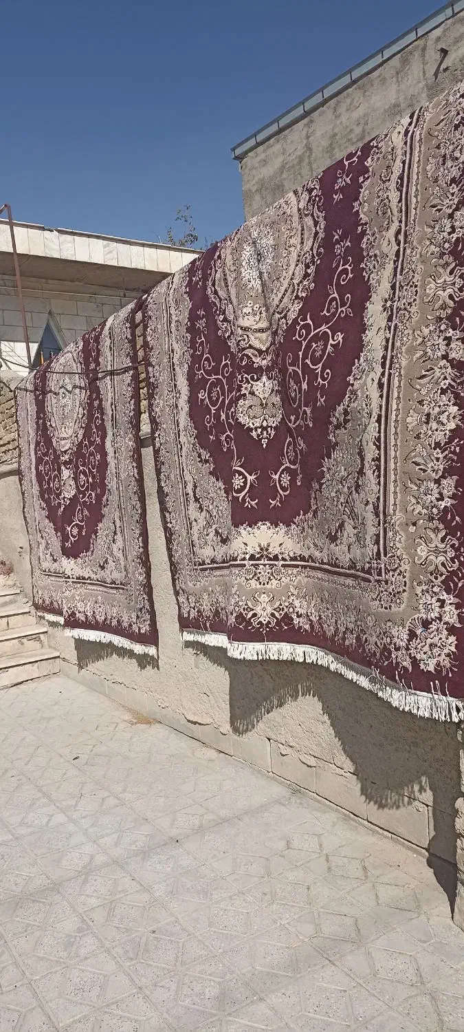 دو عدد فرش 12 متری|فرش|اشترینان, |دیوار