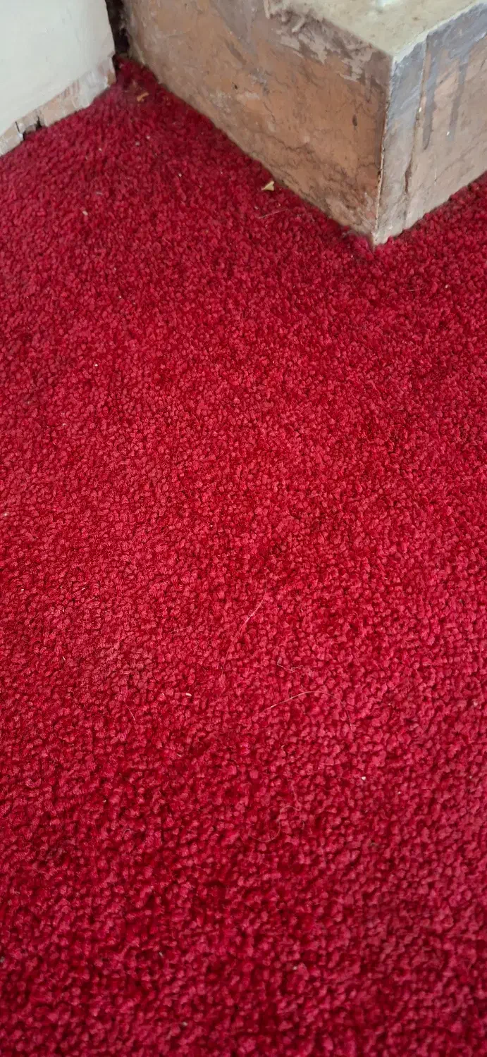 موکت|موکت|مشهد, امام رضا (ع)|دیوار