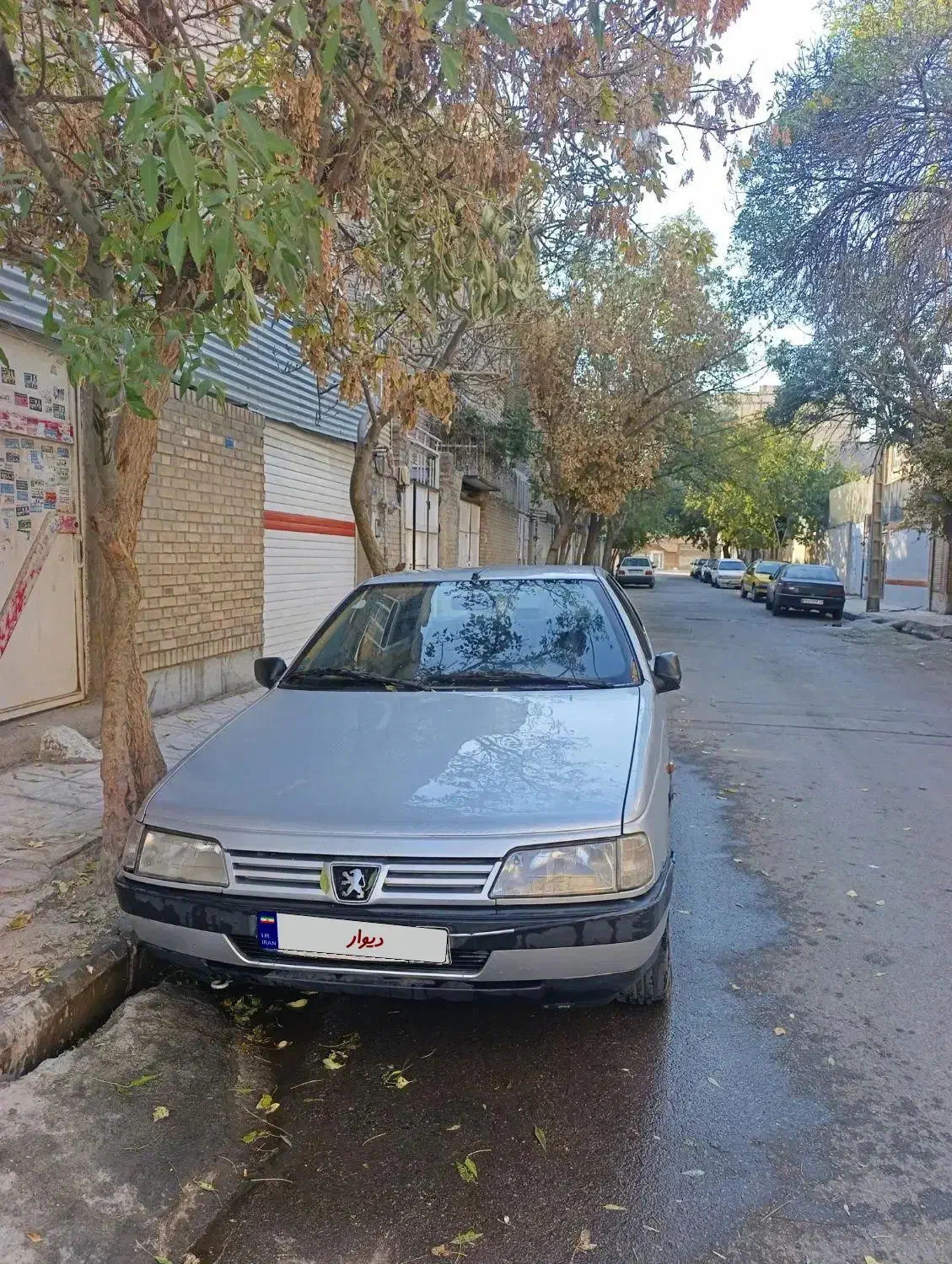 پژو 405 مدل 93 بی رنگ|خودرو سواری و وانت|مشهد, انقلاب|دیوار