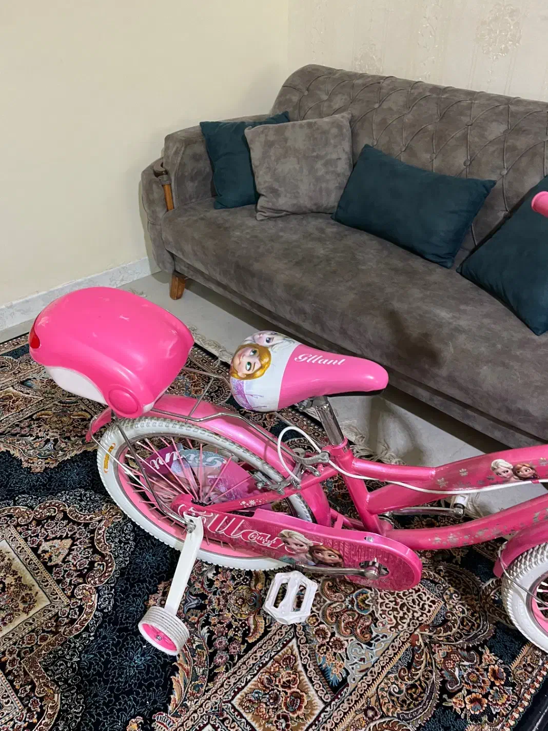 دوچرخه سایز ۲۰ دخترانه|دوچرخه، اسکیت، اسکوتر|کرج, بنیاد|دیوار