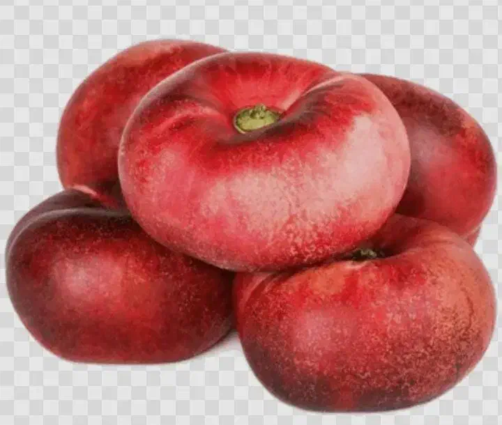 نهال شلیل انجیری|خدمات باغبانی و درختکاری|جوانرود, |دیوار