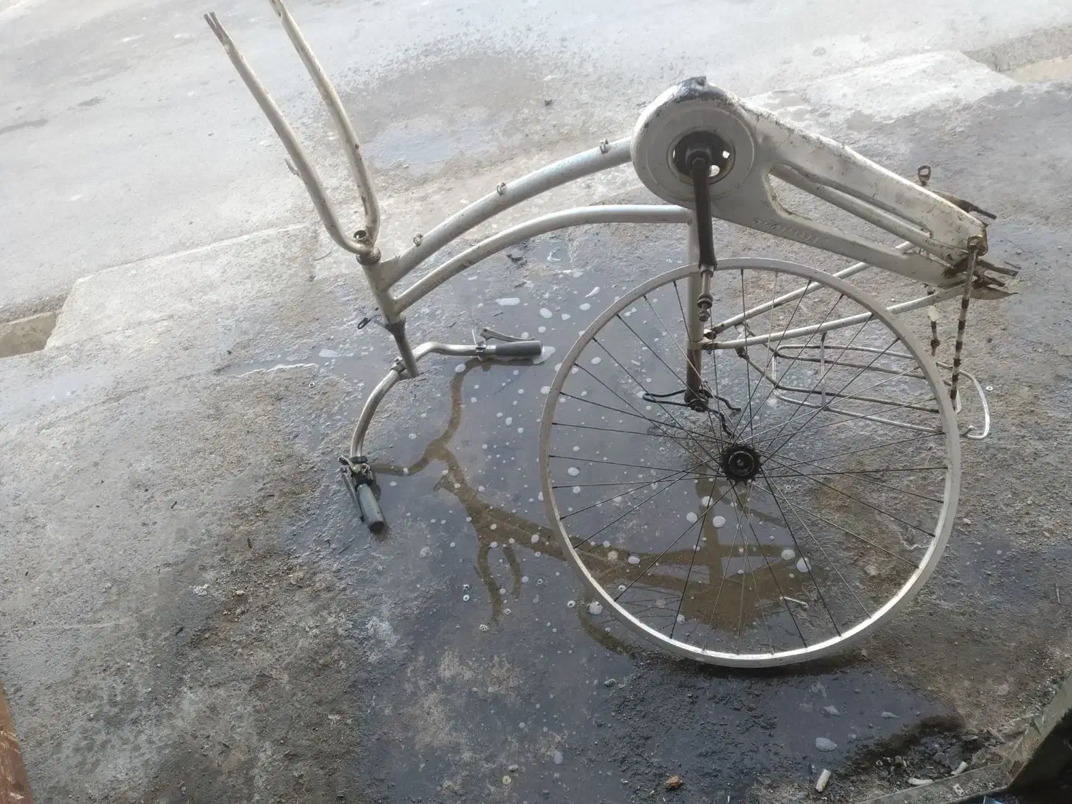 تنه دوچرخه جاپونی ورینگ|دوچرخه، اسکیت، اسکوتر|چمران, |دیوار