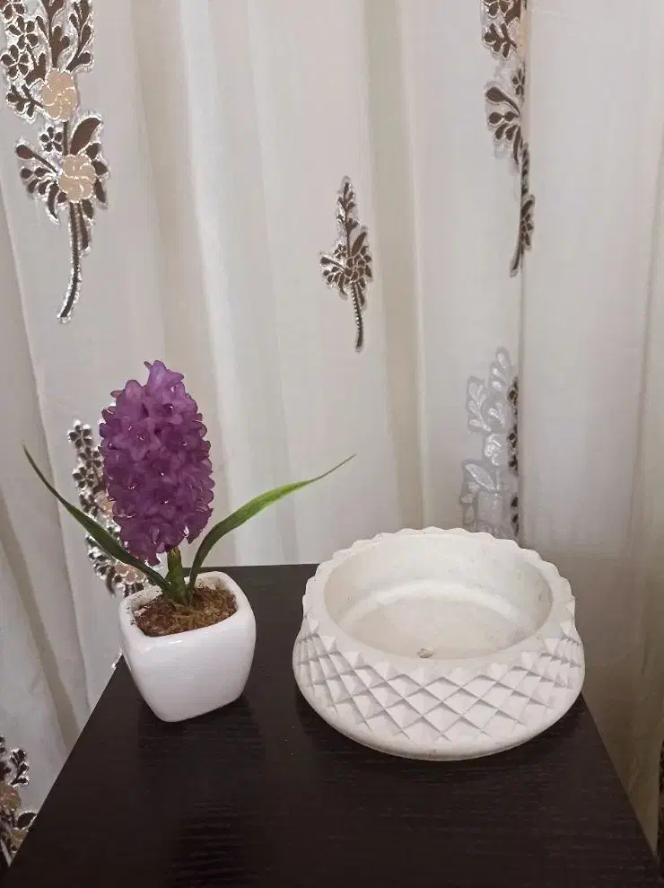 گلدان گل سنبل وگلدان سفالی کوچک نو فقط۲۳۰ت|حراج|شیراز, شهرک مطهری|دیوار