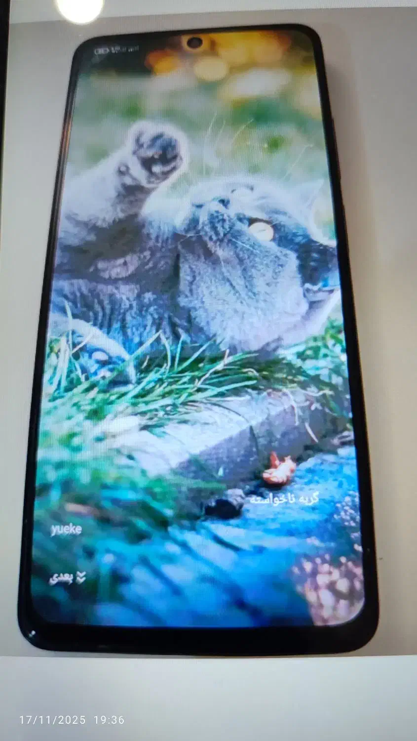 گوشی شیامی|موبایل|رشت, کوی غلام نیا|دیوار