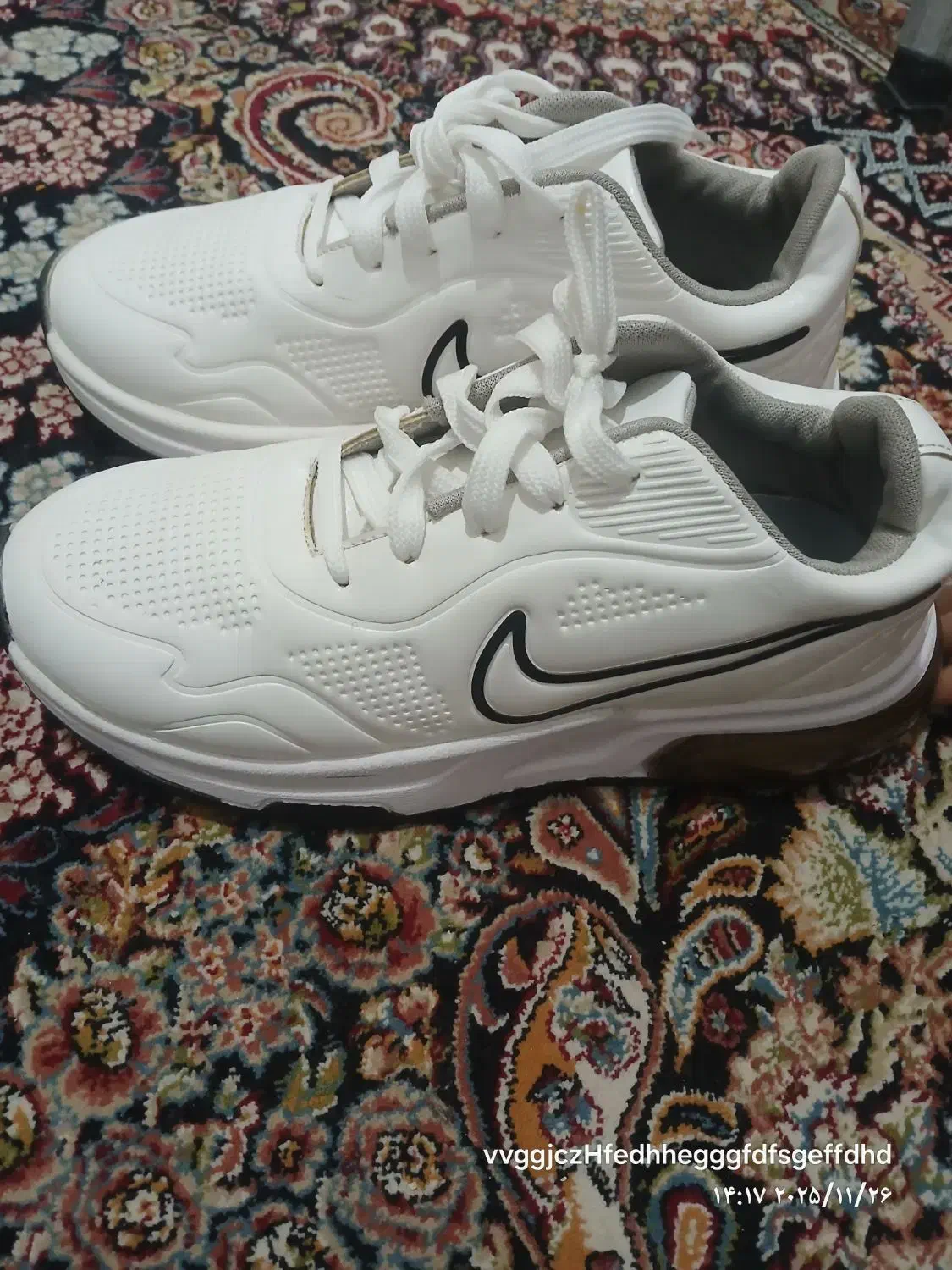 کفش|کیف، کفش، کمربند|قم, محمد آباد|دیوار