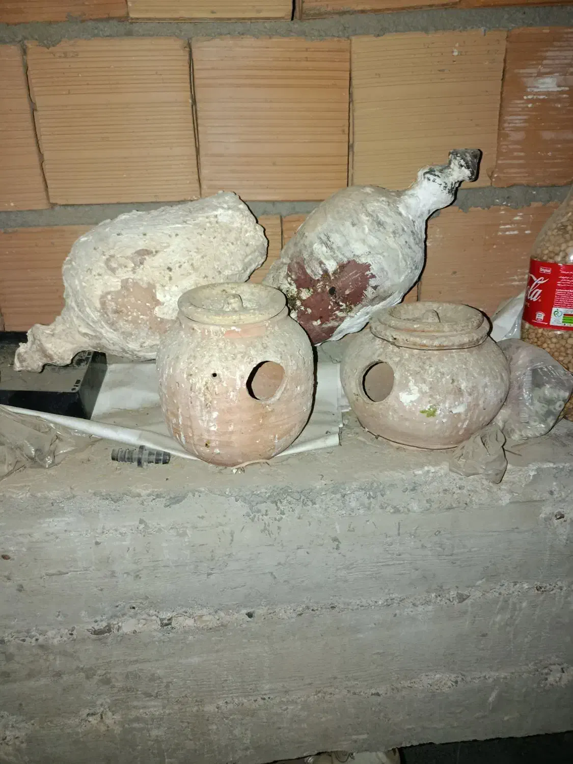 کوزه مرغ عشق|لوازم جانبی حیوانات|گالیکش, |دیوار