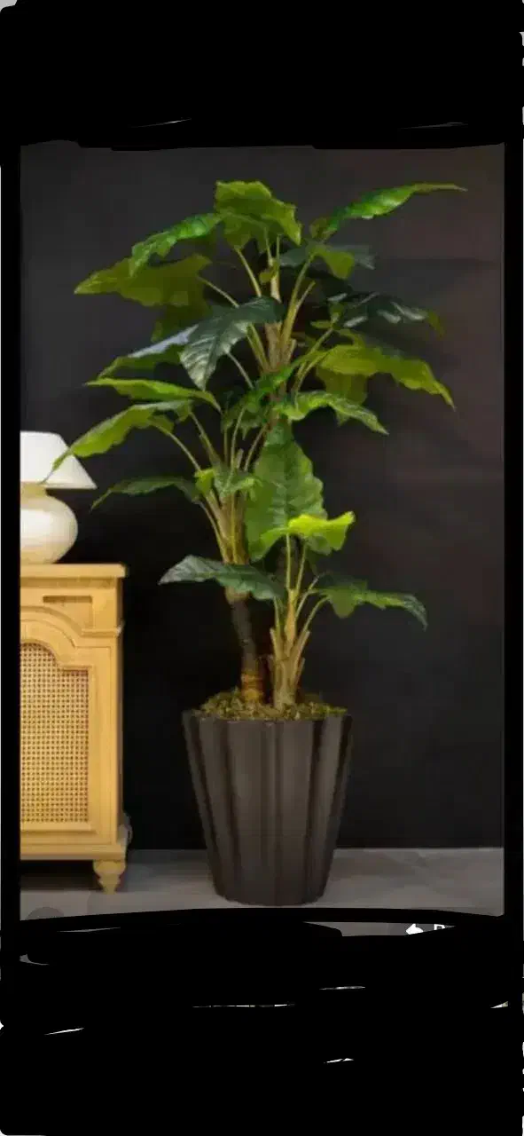 درختچه نیکولا|گل مصنوعی|تهران, مشیریه|دیوار