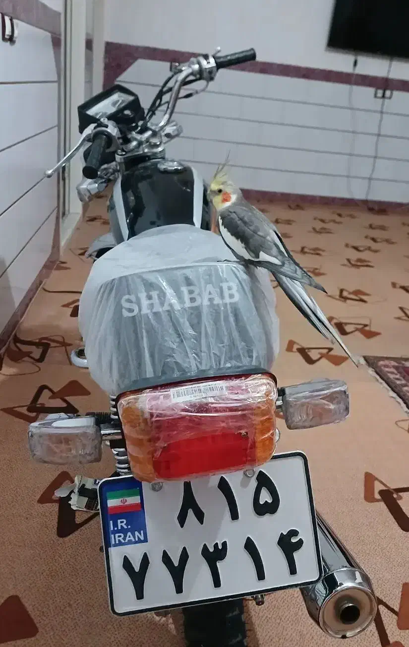 شباب۱۲۵ صفر|موتورسیکلت|جیرفت, |دیوار