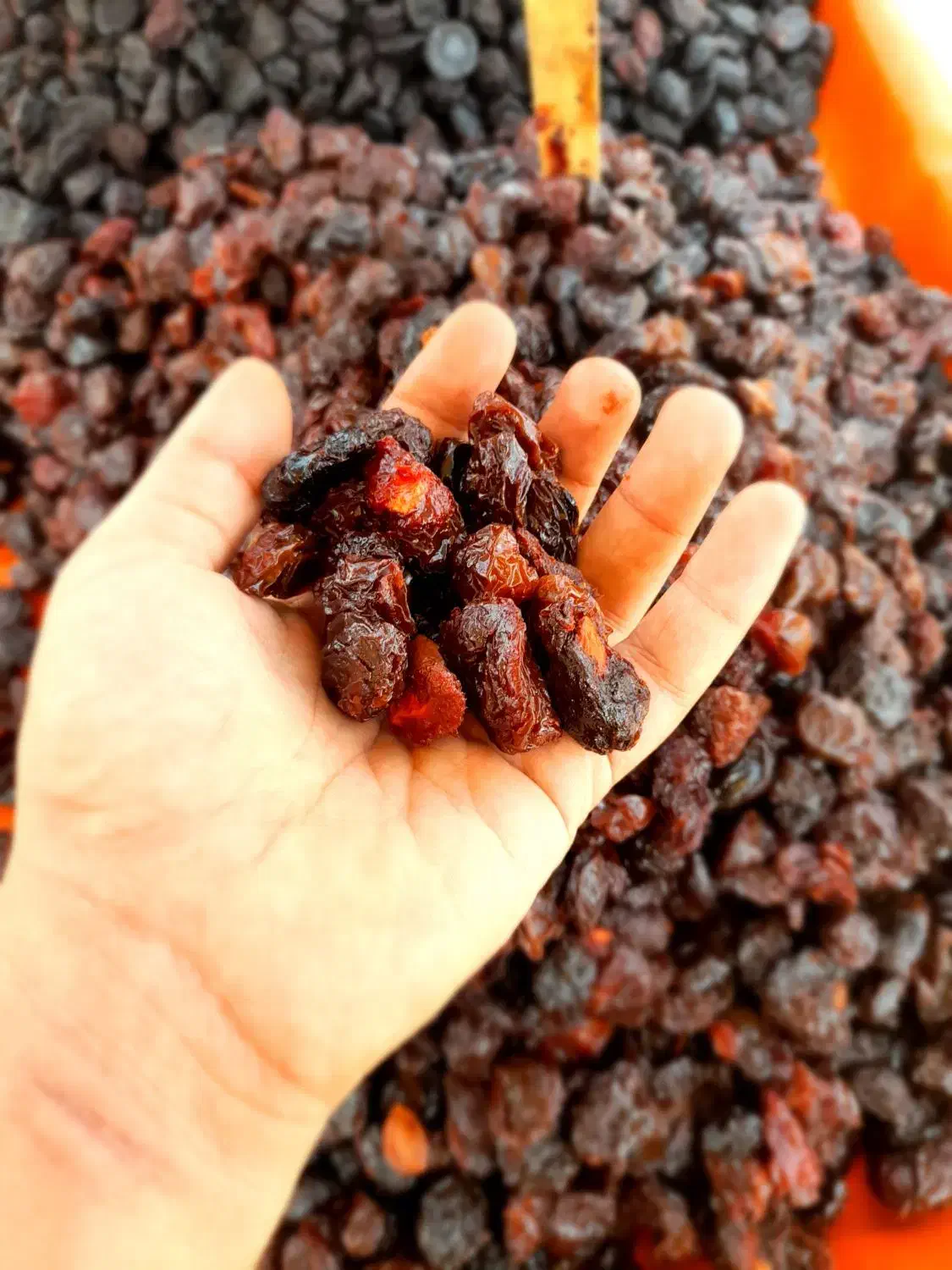 آلو خوانساری گردو سبز گردو خشک پارساله بادام|خوردنی و آشامیدنی|قم, جمکران|دیوار