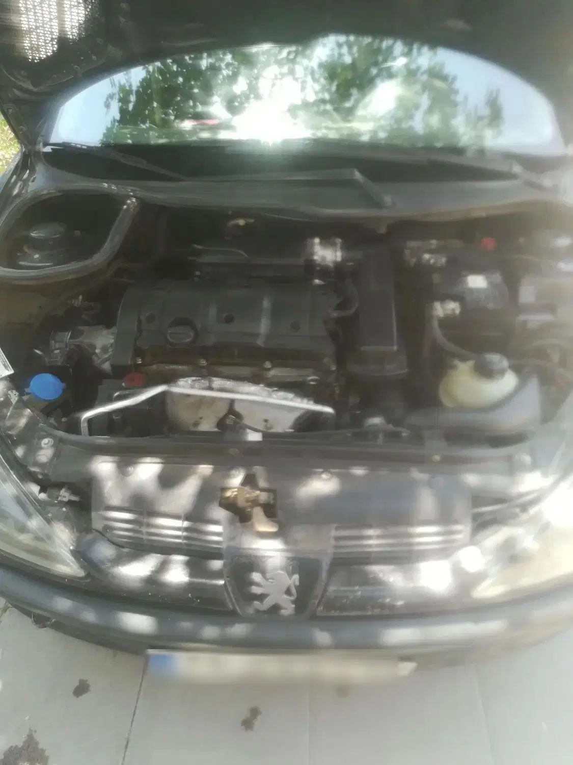 206sd v8|خودرو سواری و وانت|مشهد, پنجتن|دیوار