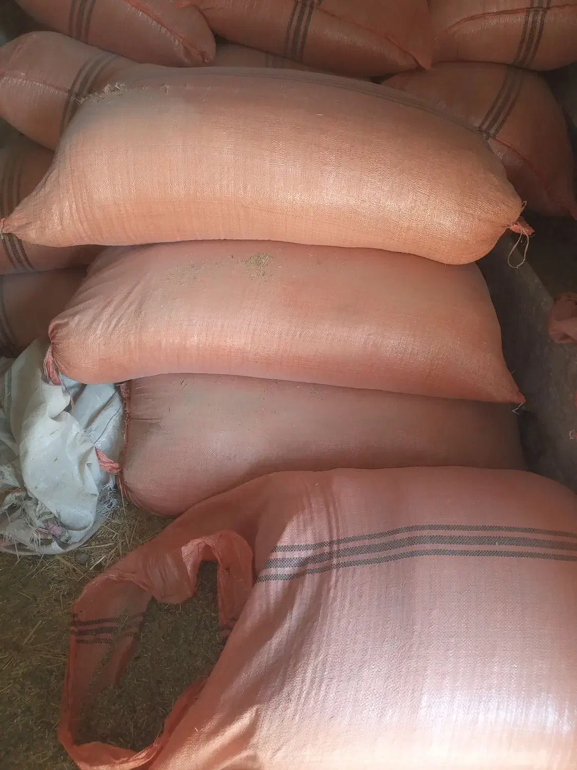 کاه ماشک|عمدهفروشی|چرام, |دیوار