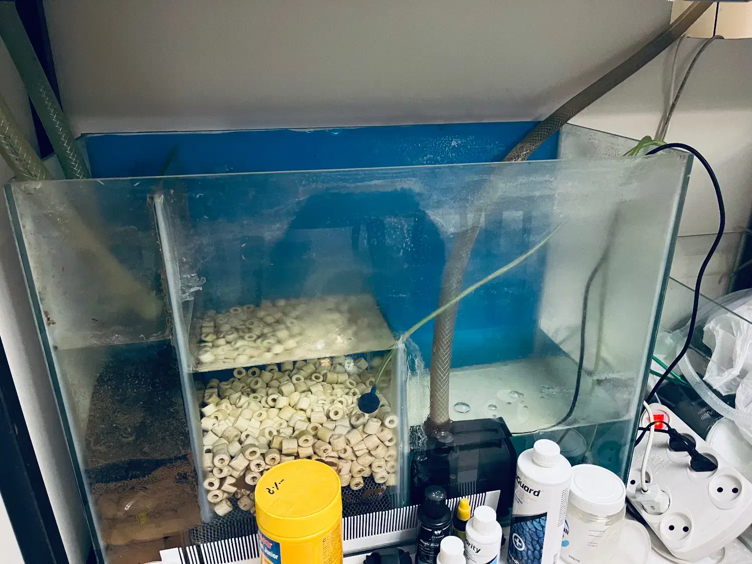 آکواریوم شیک و ساپ دار|ماهی|تهران, جنت‌آباد مرکزی|دیوار