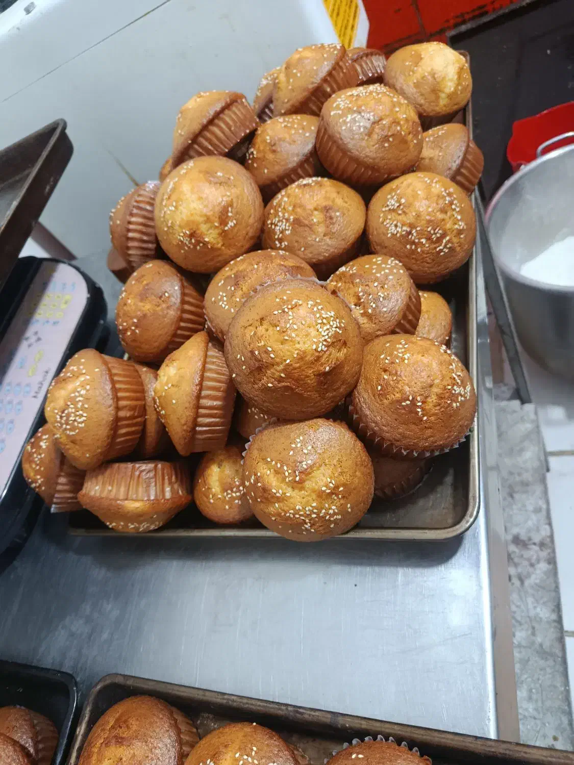 شیرینی قنادی مشهدی مربایی کیک پشمکی|خوردنی و آشامیدنی|ارومیه, |دیوار