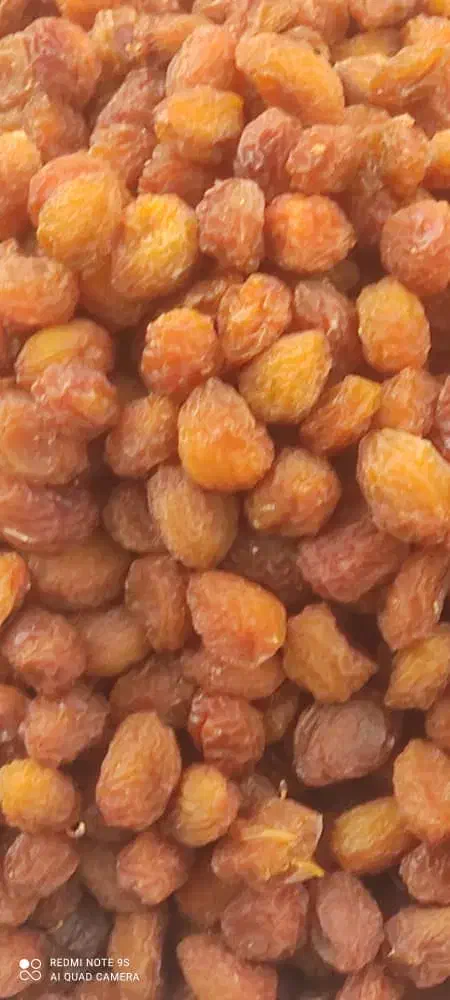 فروش ویژه آلو بخاراگردو کشمش|خوردنی و آشامیدنی|شیراز, نصر|دیوار