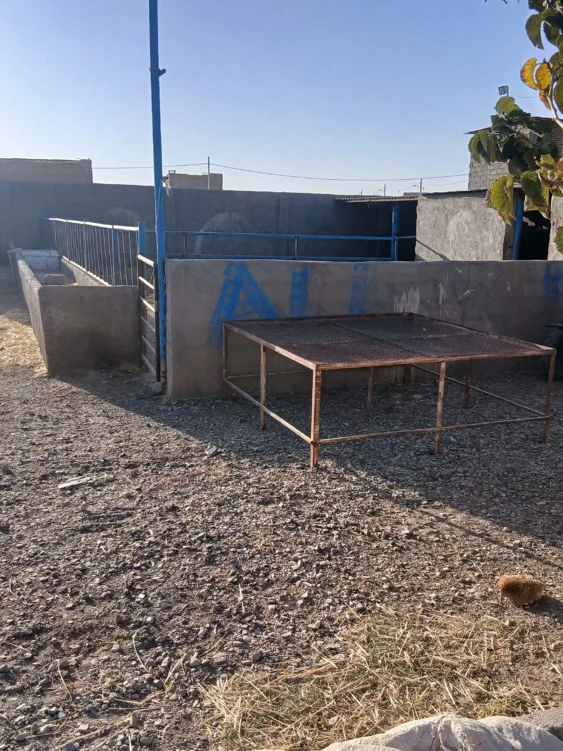 فروش|فروش دفتر صنعتی، کشاورزی، تجاری|تربت جام, جامرود|دیوار