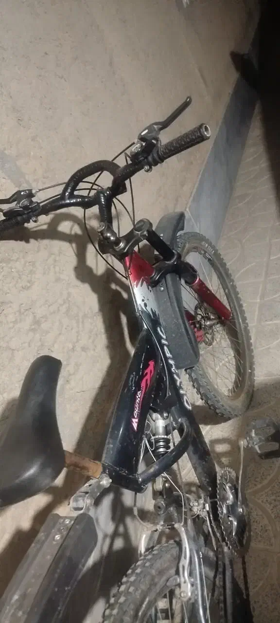 دوچرخه|دوچرخه، اسکیت، اسکوتر|شاهین‌شهر, گزبرخوار|دیوار