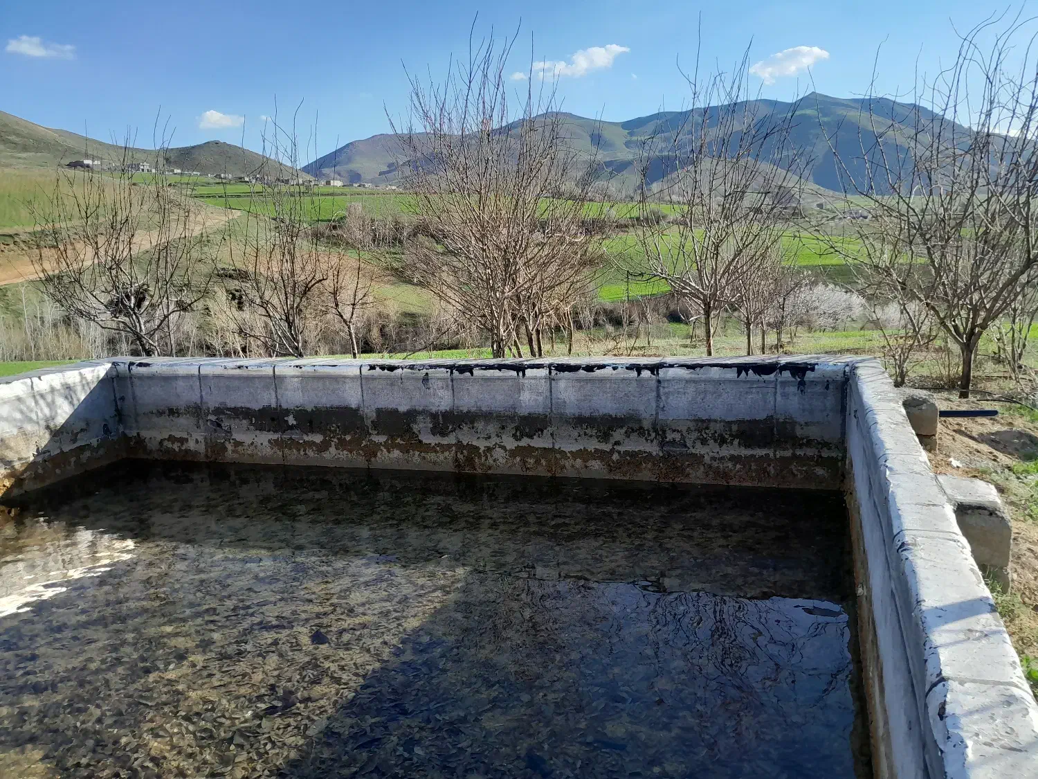 رنگه رژان|فروش دفتر صنعتی، کشاورزی، تجاری|سرشیو, |دیوار