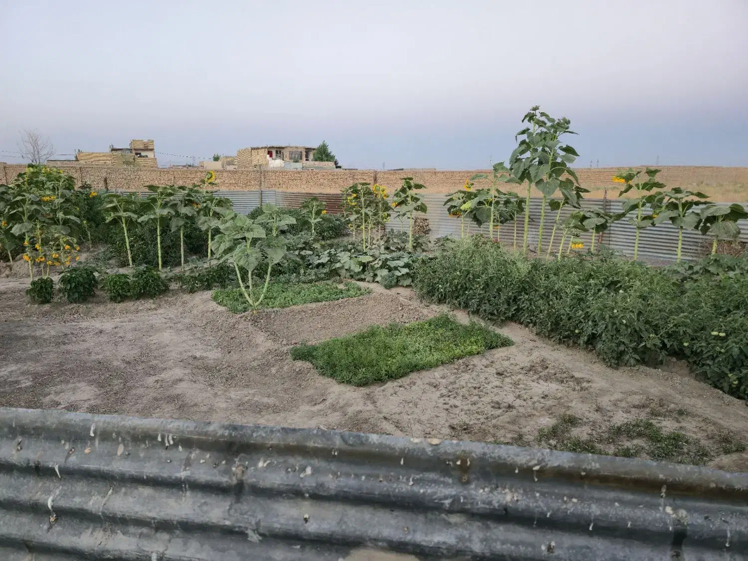 ۴۰۰۰هزار متر زمین شهر آباد اجاره و فروش|اجارهٔ خانه و ویلا|مشهد, شهرآباد|دیوار