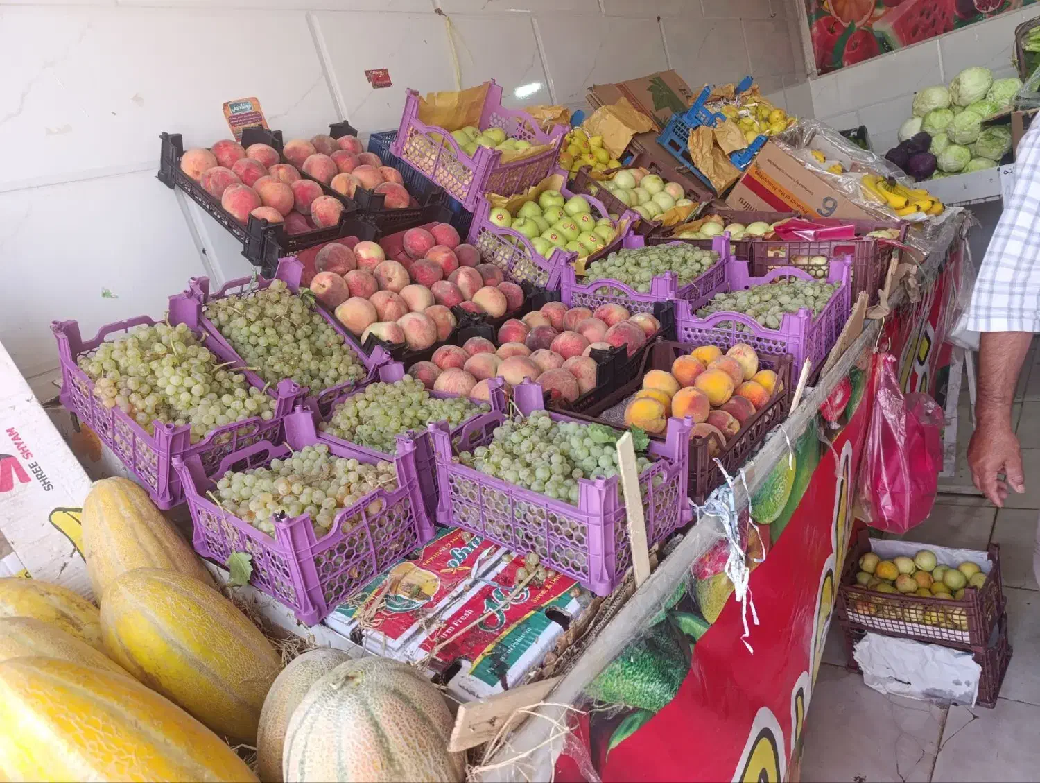 بساط میوه فروشی|فروشگاه و مغازه|شیراز, وزیرآباد|دیوار
