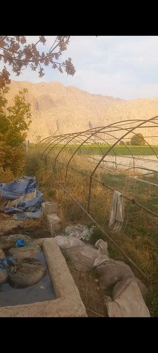 گلخانه|فروش دفتر صنعتی، کشاورزی، تجاری|مرودشت, رامجرد یک|دیوار