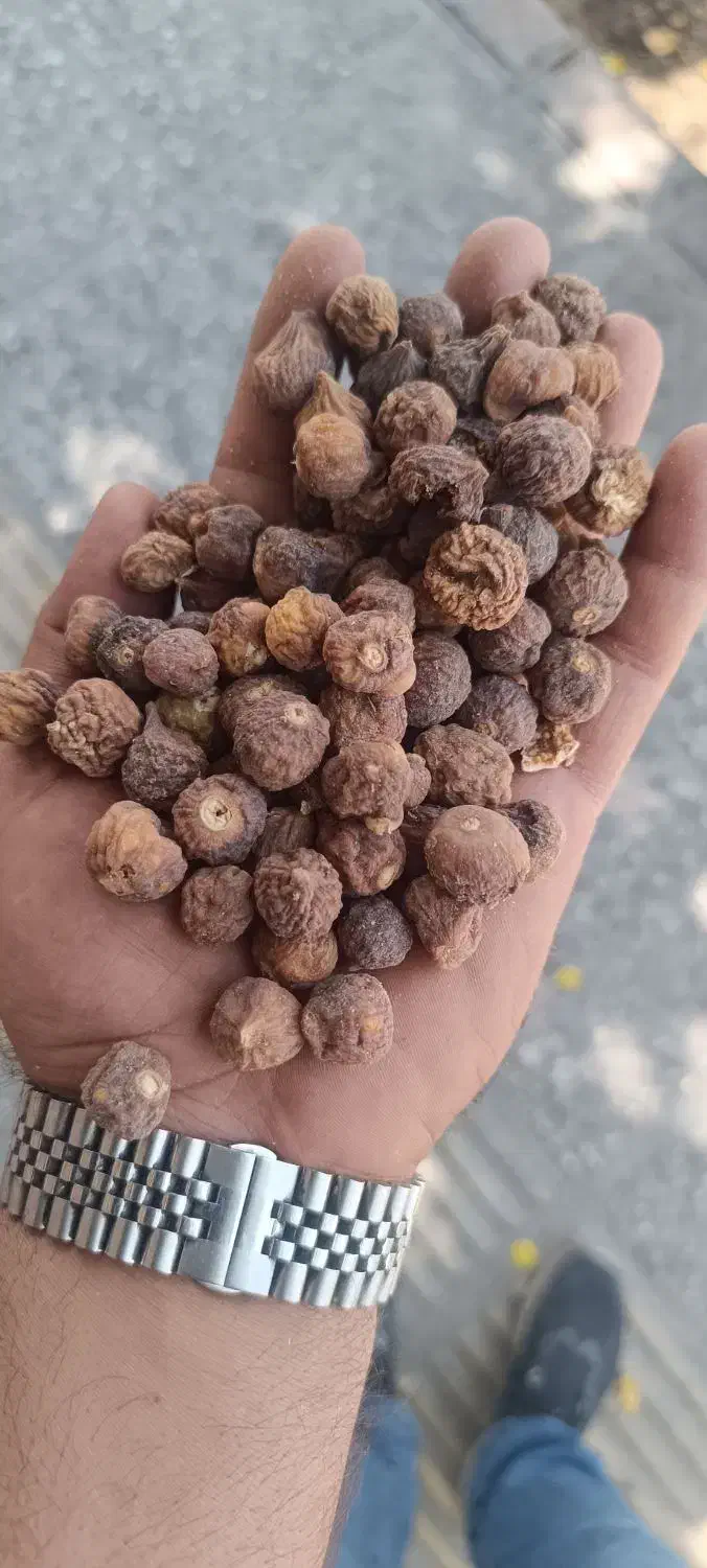 خرید و فروش انجیر ضایعات|عمده‌فروشی|استهبان, |دیوار