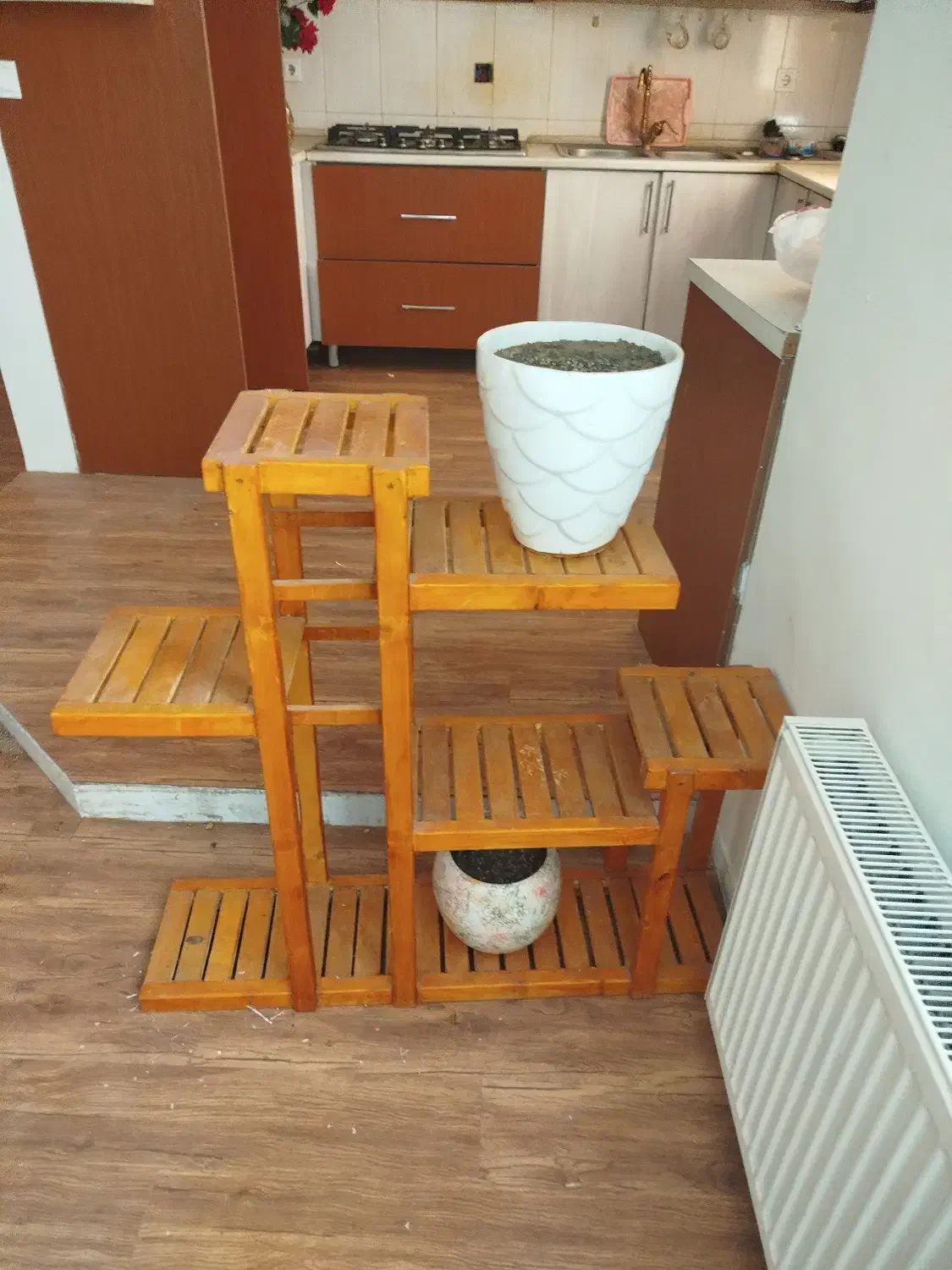 فروش استند گلدان|گل و گیاه طبیعی|هشتگرد, شهرک گلخانه|دیوار