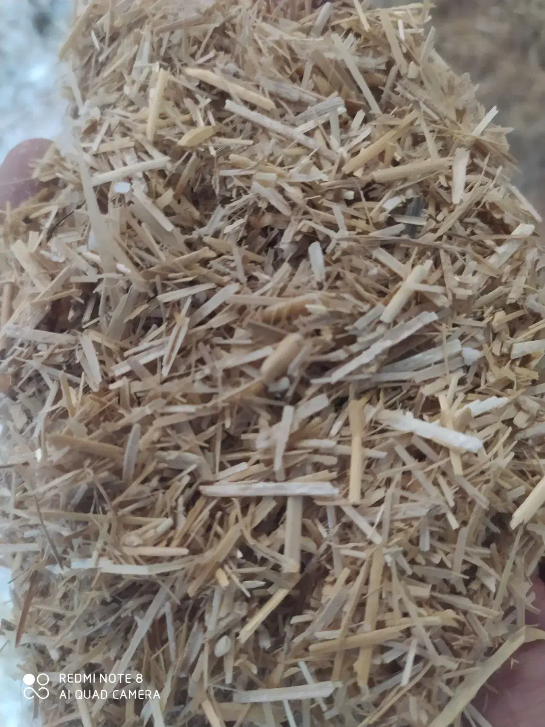 کاه|لوازم جانبی حیوانات|گنبد کاووس, |دیوار