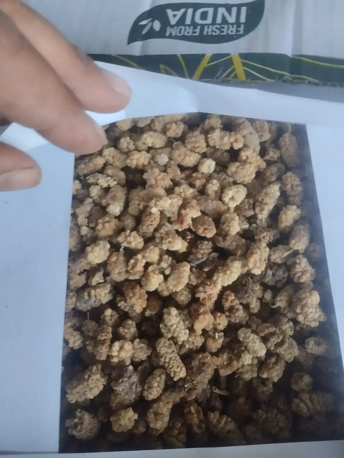 توت خشک حدود 100 کیلو|عمدهفروشی|سبزوار, ایزی شهر|دیوار