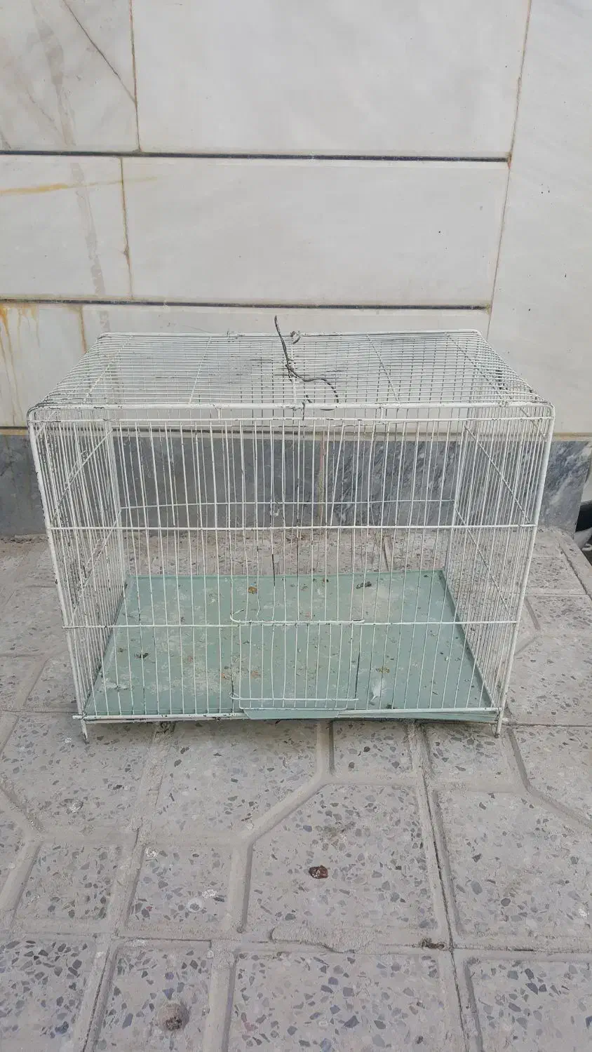 قفس پرنده|لوازم جانبی حیوانات|ایلام, |دیوار