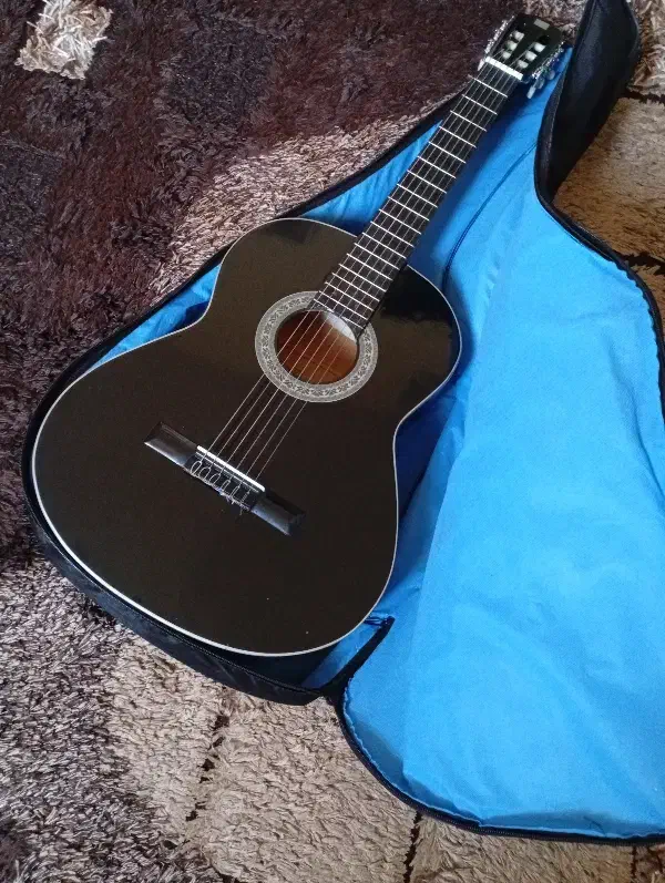 گیتار دیاموند آموزشی نو|گیتار، بیس، امپلیفایر|گلبهار, شهر جدید گلبهار|دیوار