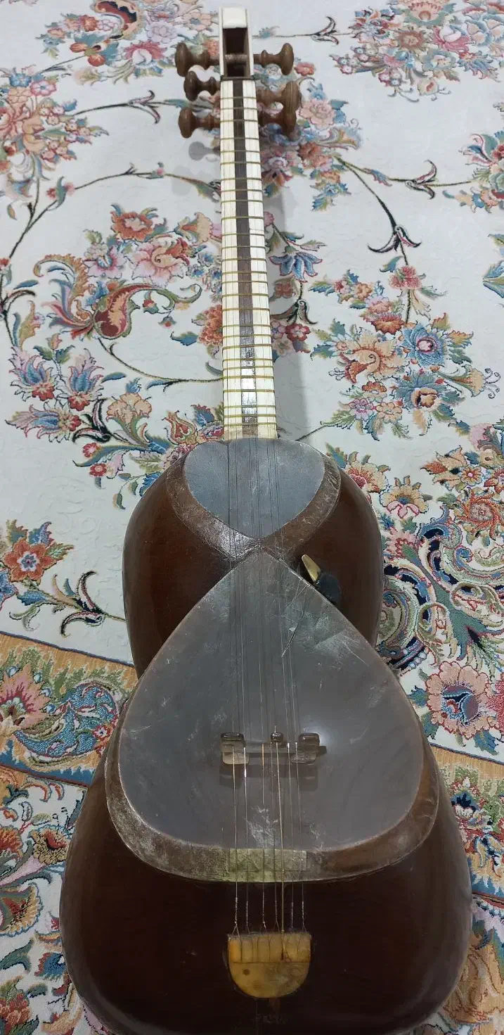 تار براخانی|سازهای سنتی|کرمانشاه, |دیوار