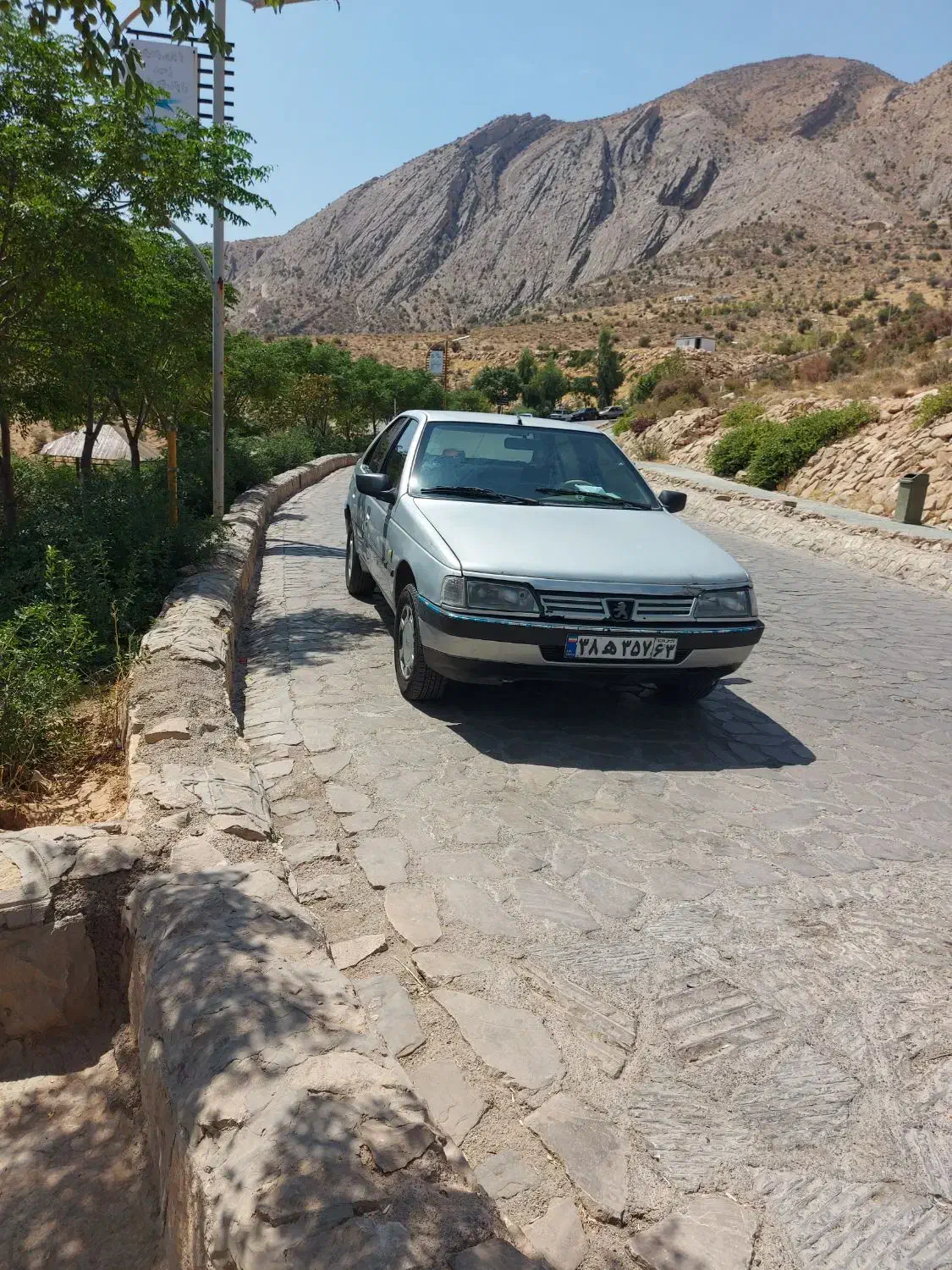 پژو 405 جی ال ایکس (GLX)، مدل ۱۳۸۹|خودرو سواری و وانت|شیراز, شهرک بهار|دیوار