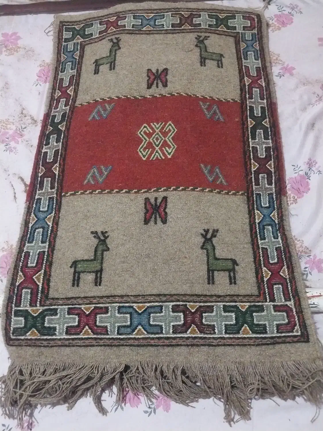 گلیم دست بافت|گلیم، جاجیم، گبه|شیروان (خراسان), |دیوار