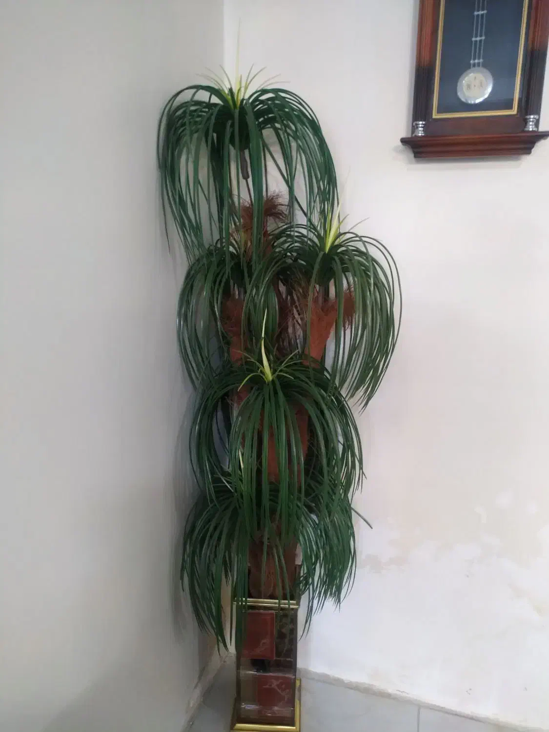 درختچه مصنوعی|گل مصنوعی|اهواز, کوی باهنر|دیوار