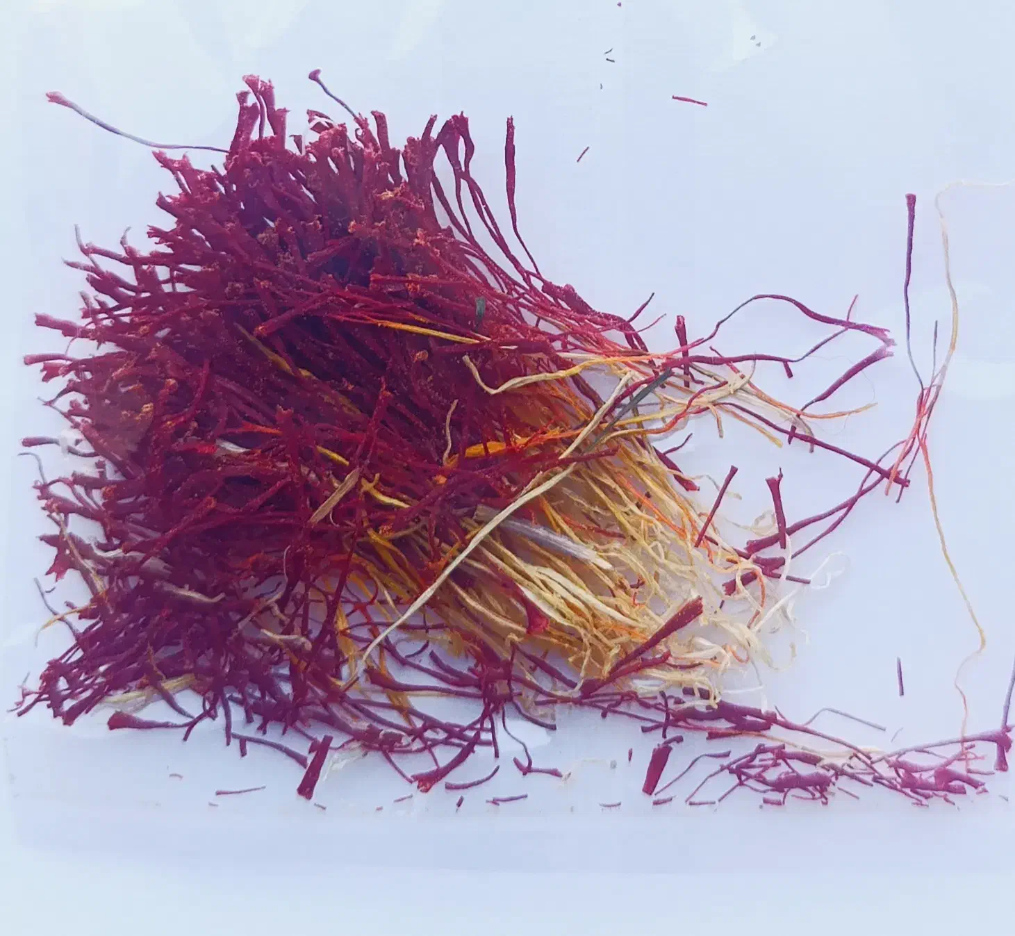 زعفران اصیل|خوردنی و آشامیدنی|کرج, دانشگاه خوارزمی|دیوار